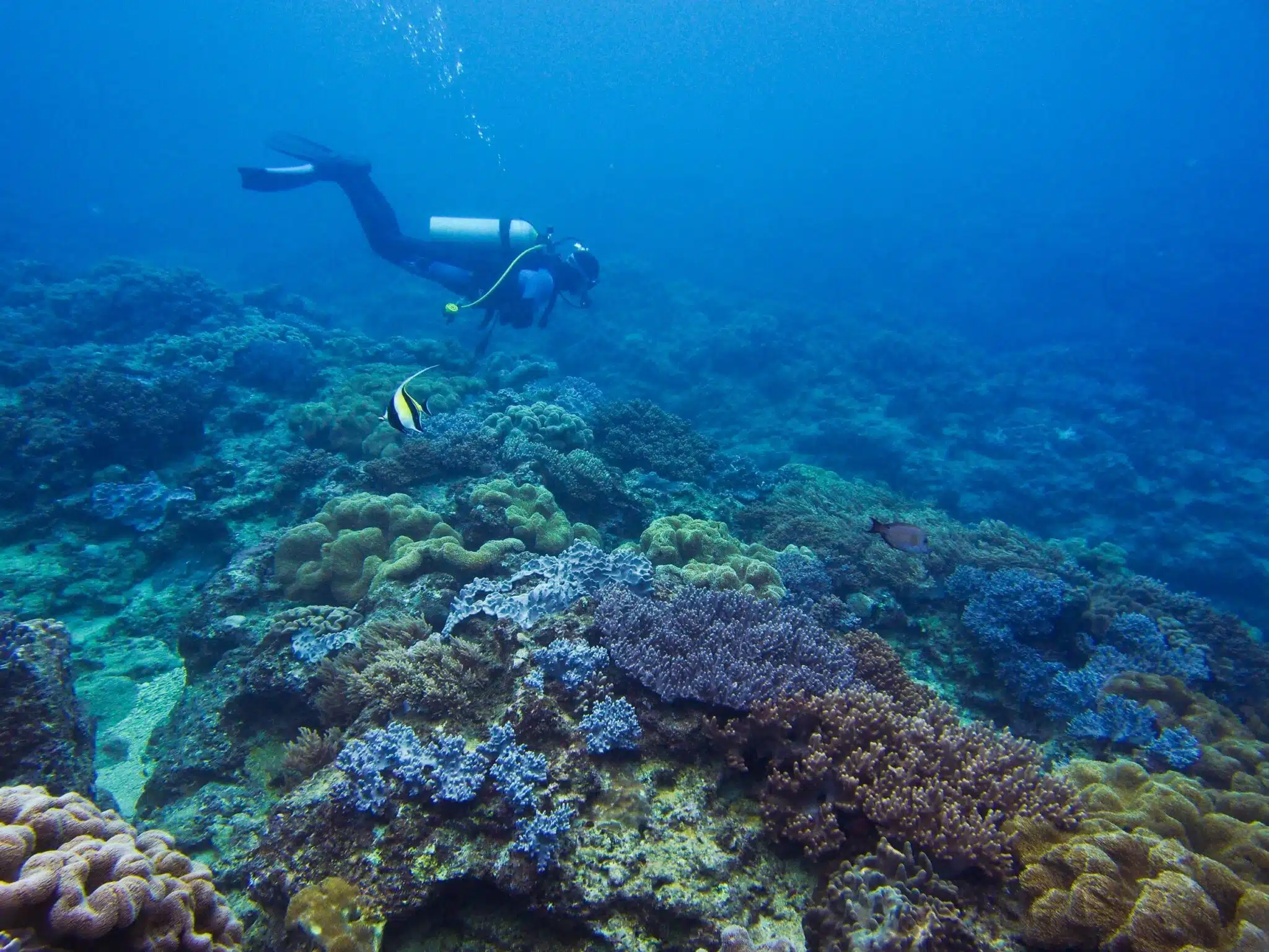 Yonaguni Jima Scuba Diving1