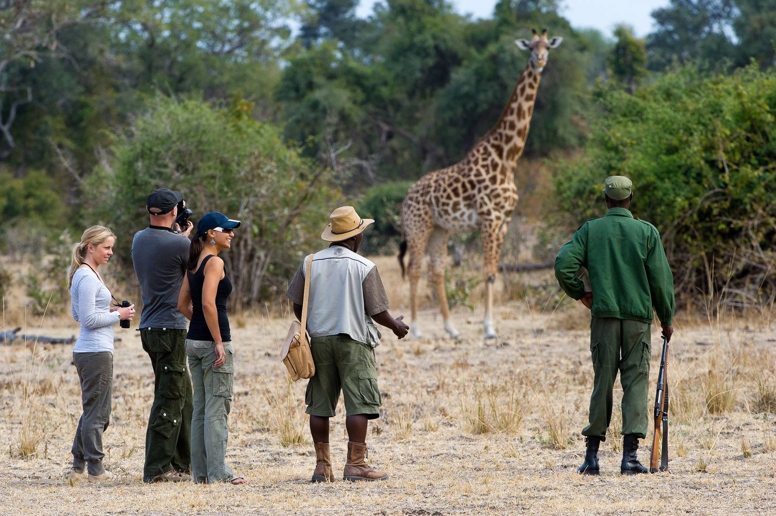 Luxury African Safari Tours | Tailor Made Safaris To Africa