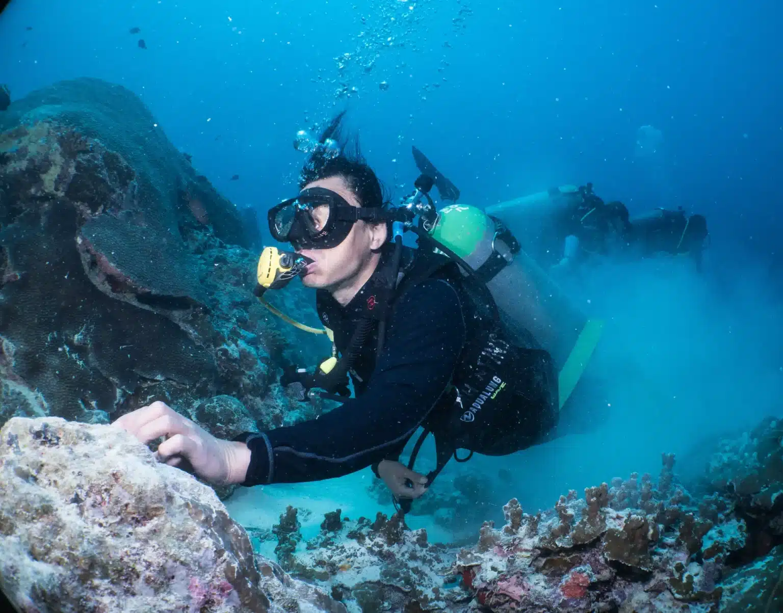 Best Diving Palau