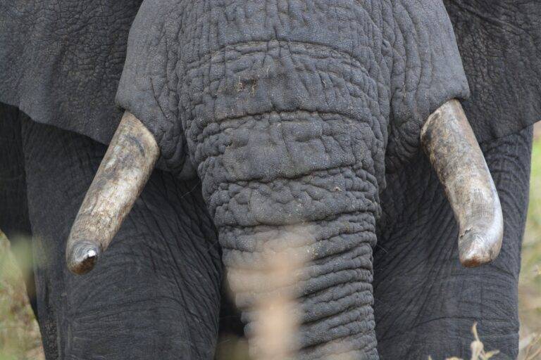 lake manyara national park05