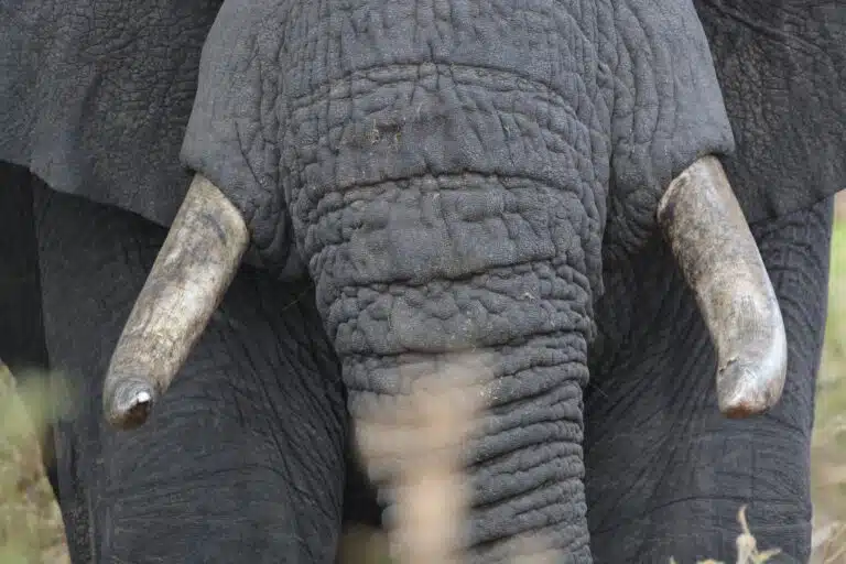 lake manyara national park05