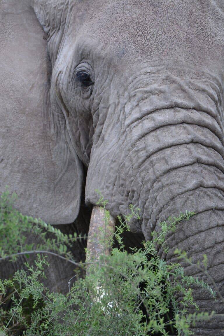 lake manyara national park06