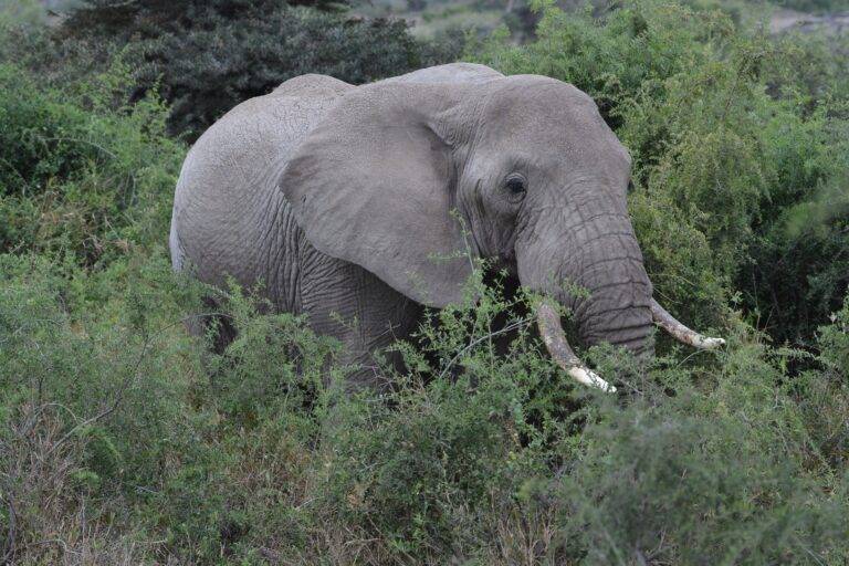 lake manyara national park07