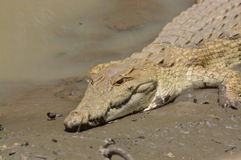 lake manyara national park09