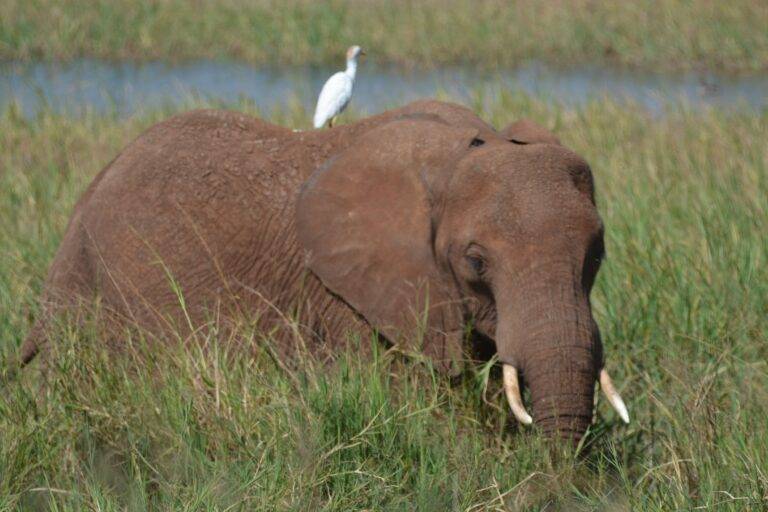 lake manyara national park10