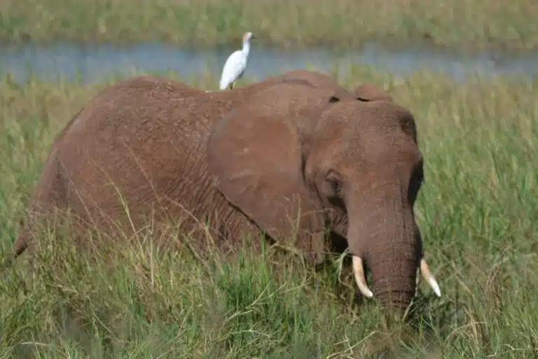 lake manyara national park10