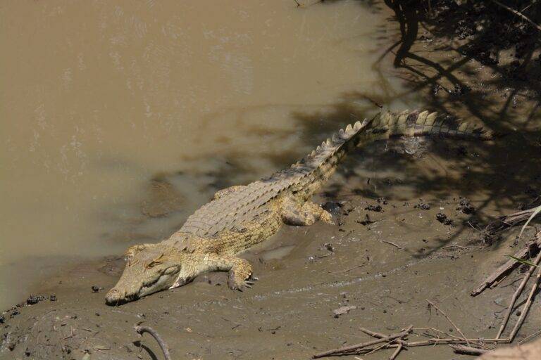 lake manyara national park11