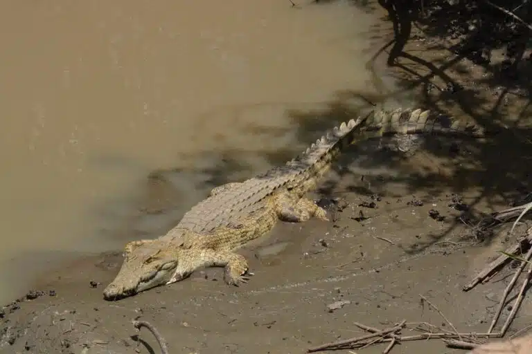 lake manyara national park11