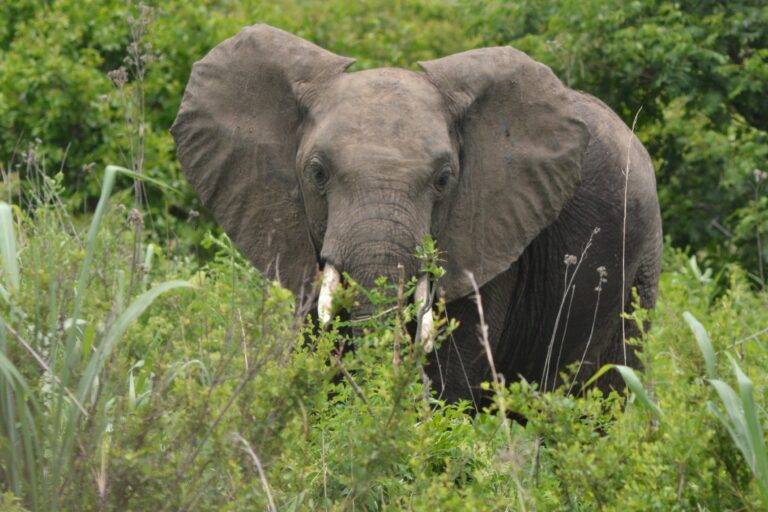 lake manyara national park12