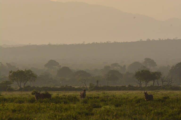 lake manyara national park13