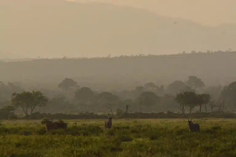 lake manyara national park13