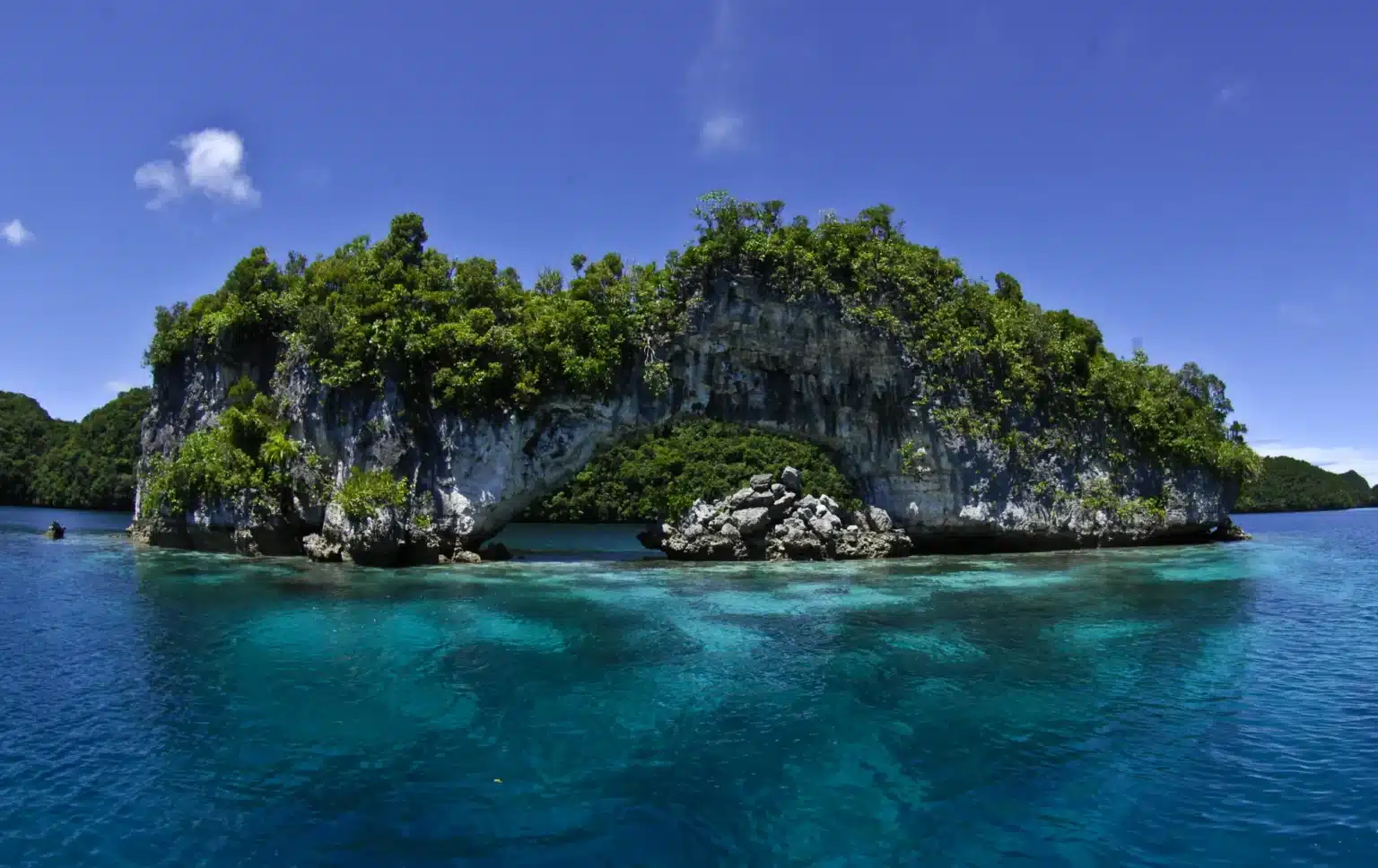 Scuba Diving in Palau
