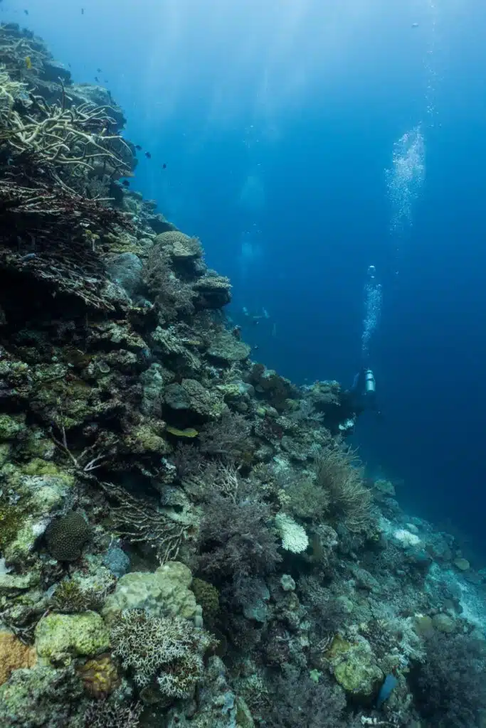 Tufi Dive Resort
