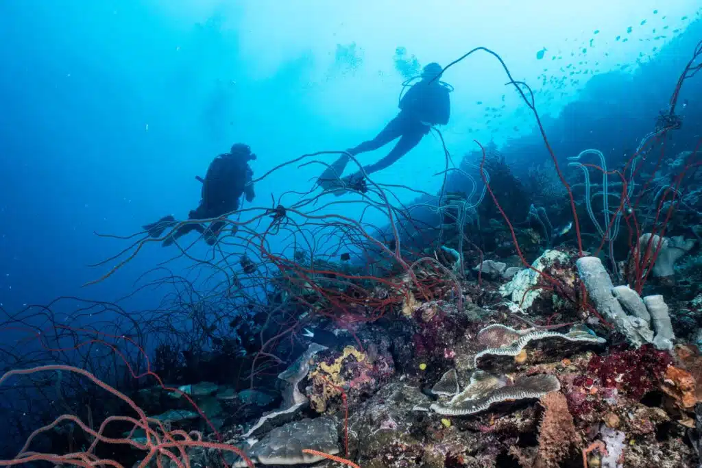 Tufi Dive Resort