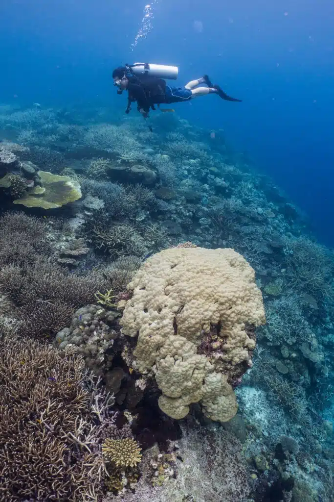 Tufi Dive Resort