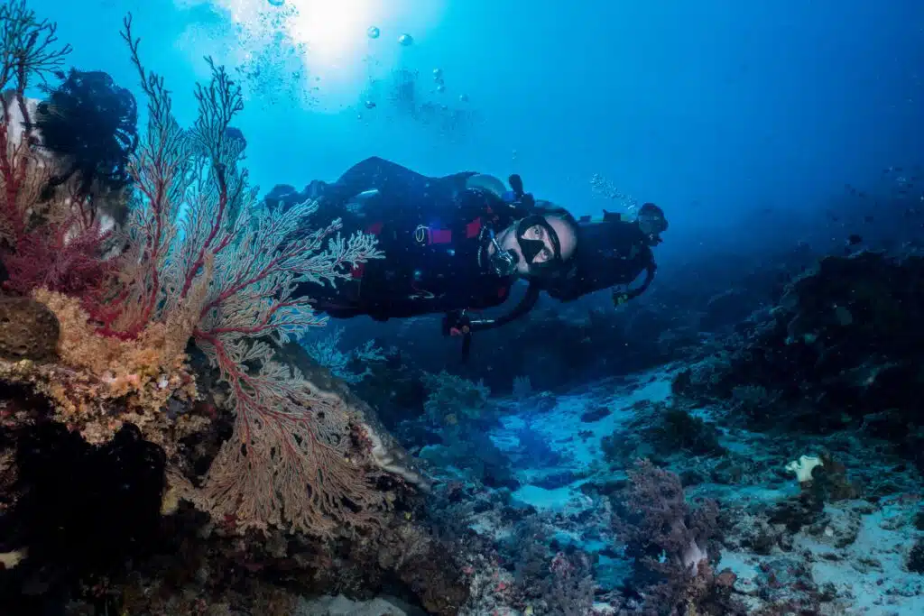 Tufi Dive Resort