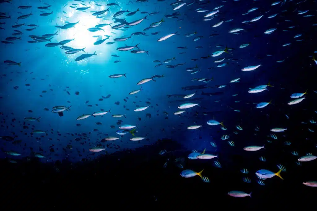 Tufi Dive Resort