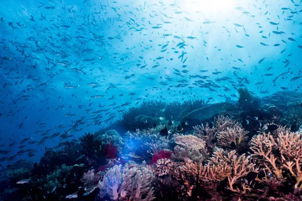 Tufi Dive Resort