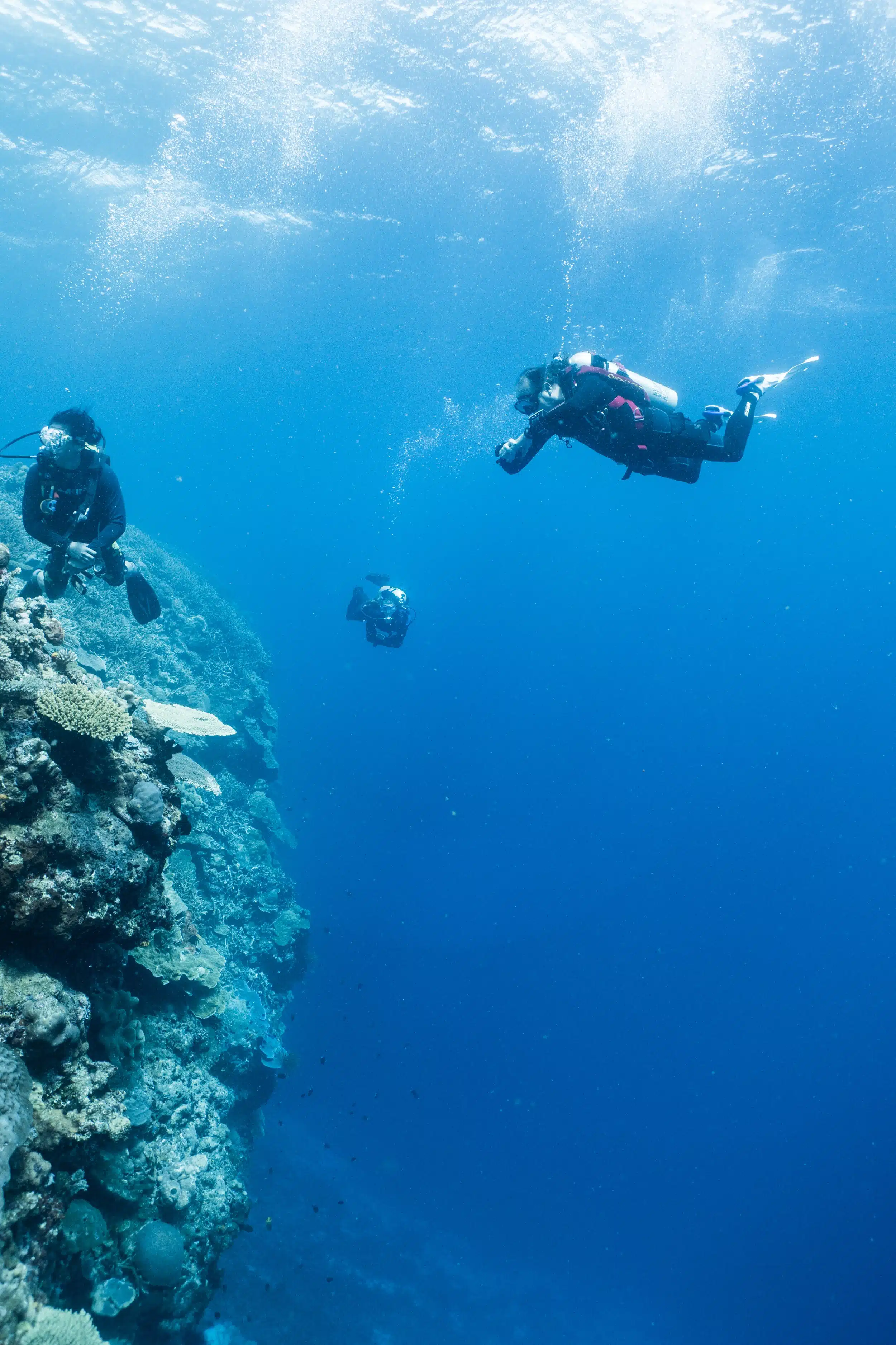 Tufi Dive Resort