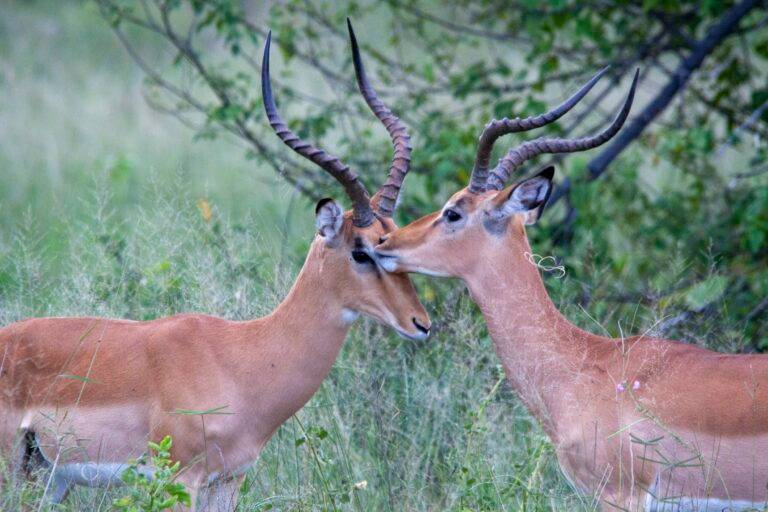 unsplash image GEEmkGkf5DU