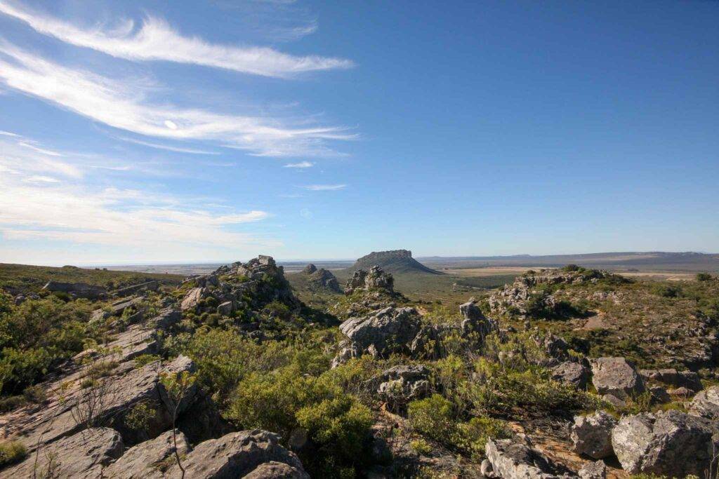 Steel Safaris - South Africa