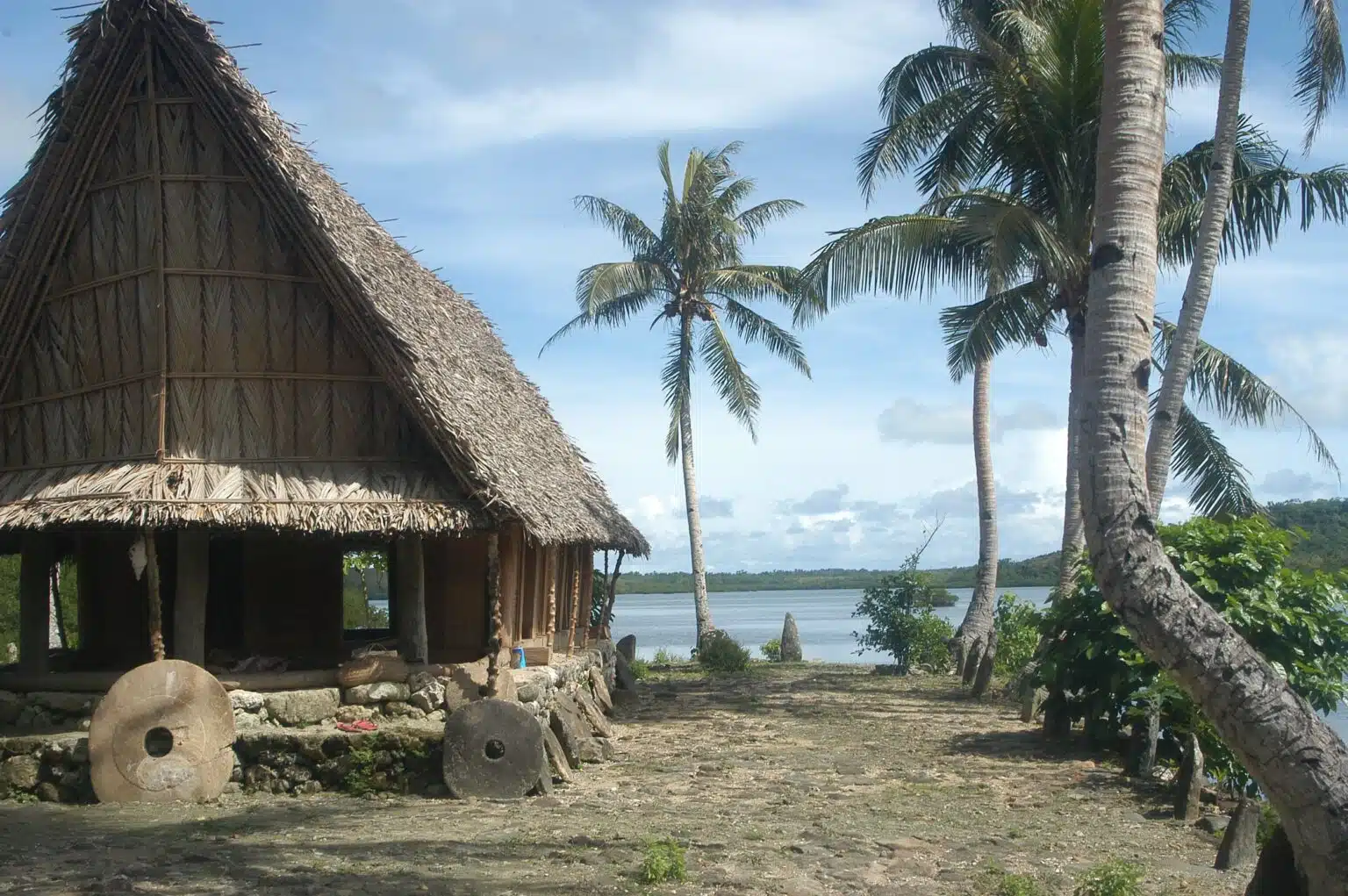 yap gen59